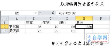 excel2010ʽݔ뷽